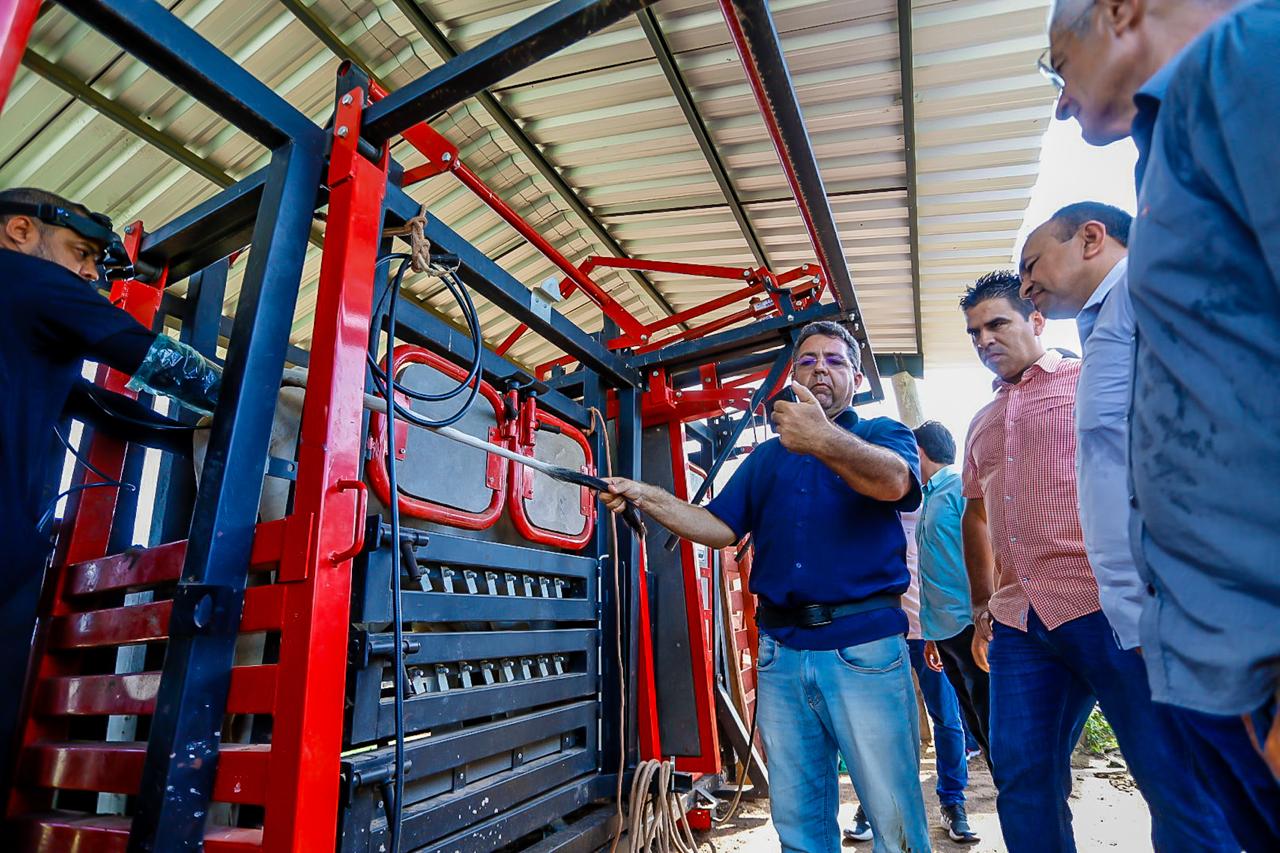MELHORAMENTO GENÉTICO ][ Piauí investe R$ 3,3 mi em genética bovina e planeja 2ª etapa de R$ 6,5 mi